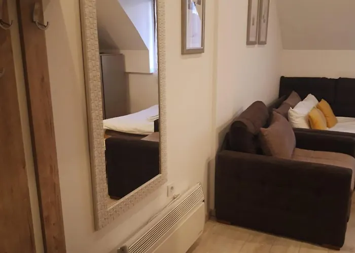 Milmari L39 * 科帕奥尼克