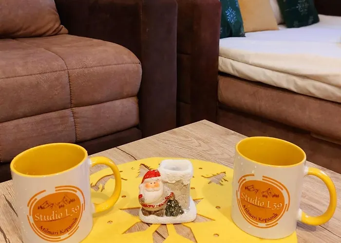 Milmari L39 * 科帕奥尼克